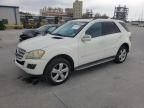 2010 Mercedes-Benz ML 350