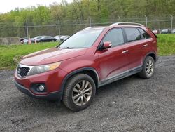 Salvage cars for sale from Copart Finksburg, MD: 2011 KIA Sorento EX