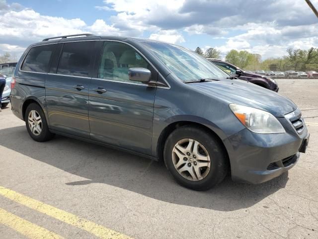 2005 Honda Odyssey EXL