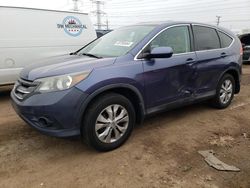 Salvage cars for sale at Elgin, IL auction: 2013 Honda CR-V EX