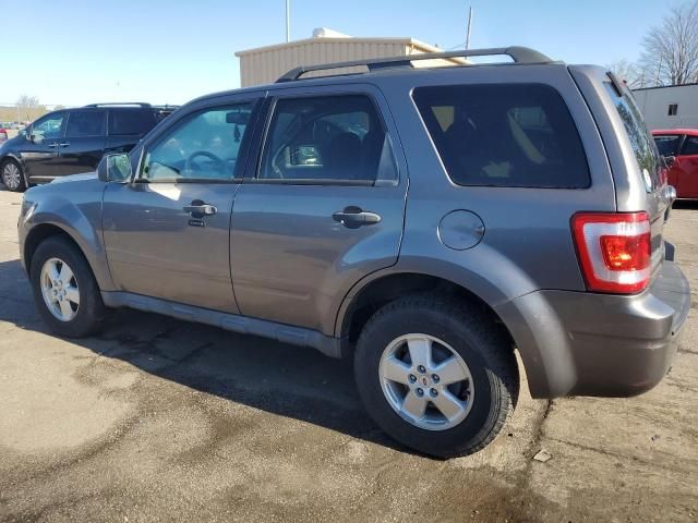 2010 Ford Escape XLT