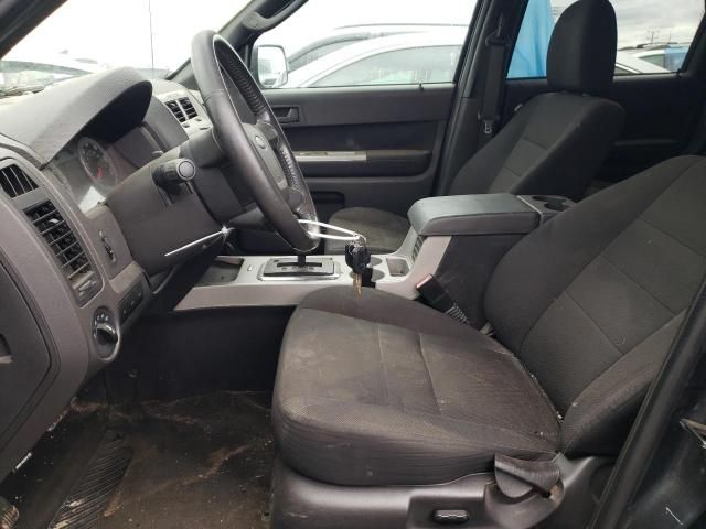 2009 Ford Escape XLT