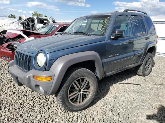 2002 Jeep Liberty Limited