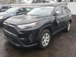 Salvage cars for sale from Copart New Britain, CT: 2023 Toyota Rav4 LE