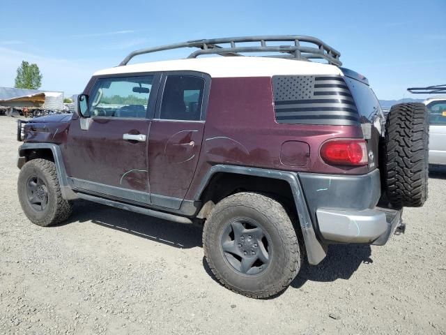 2007 Toyota FJ Cruiser