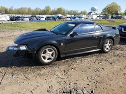 Salvage cars for sale from Copart Hillsborough, NJ: 2004 Ford Mustang