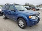 2008 Ford Escape XLT