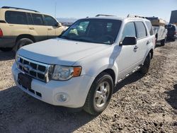 Salvage cars for sale from Copart Magna, UT: 2012 Ford Escape XLT