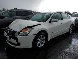 Nissan Vehiculos salvage en venta: 2009 Nissan Altima Hybrid