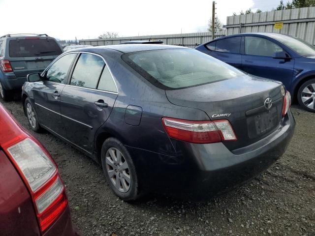 2007 Toyota Camry Hybrid