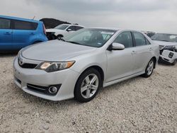 Salvage cars for sale from Copart Temple, TX: 2014 Toyota Camry L