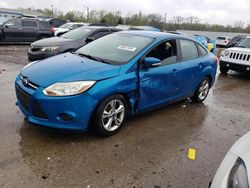 Salvage cars for sale from Copart Louisville, KY: 2014 Ford Focus SE
