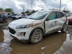 Salvage cars for sale at Columbus, OH auction: 2022 Ford Escape SE