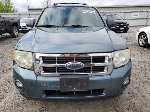 2010 Ford Escape XLT