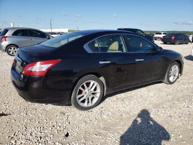 2010 Nissan Maxima S