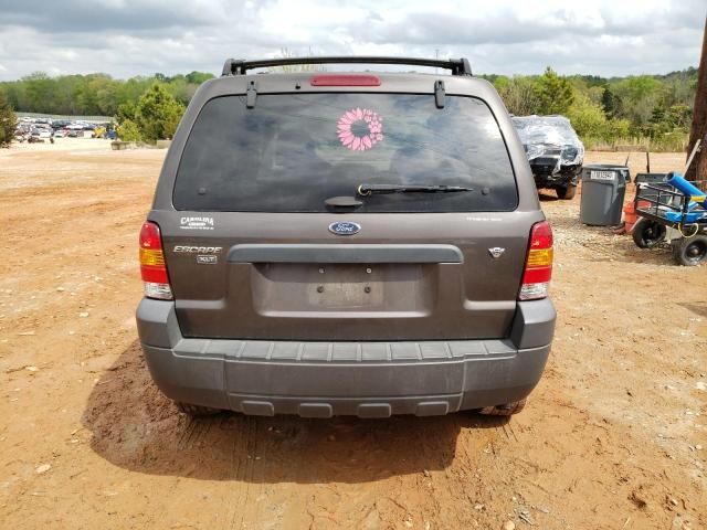 2006 Ford Escape XLT