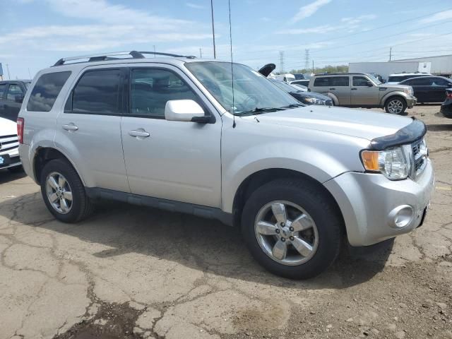 2010 Ford Escape Limited