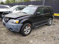 Ford Escape xlt salvage cars for sale: 2005 Ford Escape XLT