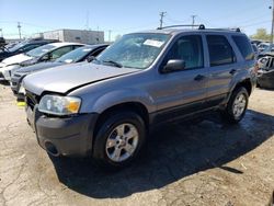 Salvage cars for sale at Chicago Heights, IL auction: 2007 Ford Escape XLT