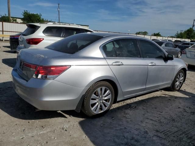 2011 Honda Accord EXL