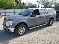 Salvage cars for sale from Copart Hampton, VA: 2013 Ford F150 Supercrew