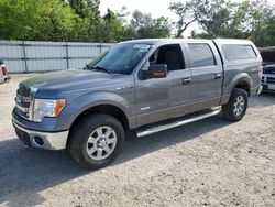 Ford salvage cars for sale: 2013 Ford F150 Supercrew