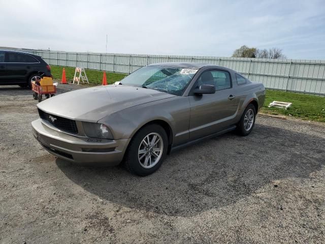 2005 Ford Mustang