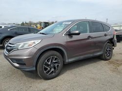 Honda crv salvage cars for sale: 2016 Honda CR-V SE