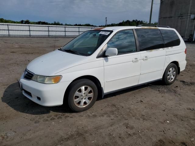 2004 Honda Odyssey EXL