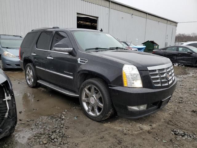 2014 Cadillac Escalade Luxury