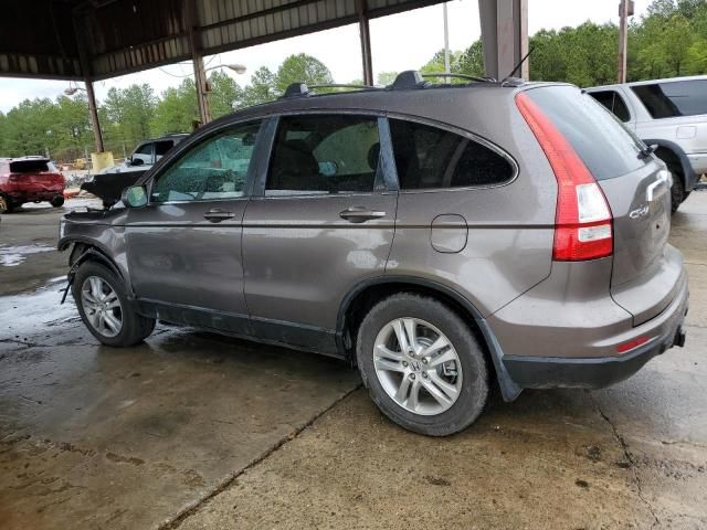 2010 Honda CR-V EXL