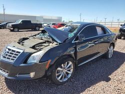 Salvage cars for sale at Phoenix, AZ auction: 2014 Cadillac XTS Luxury Collection