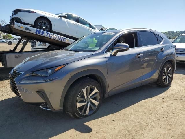 2018 Lexus NX 300H