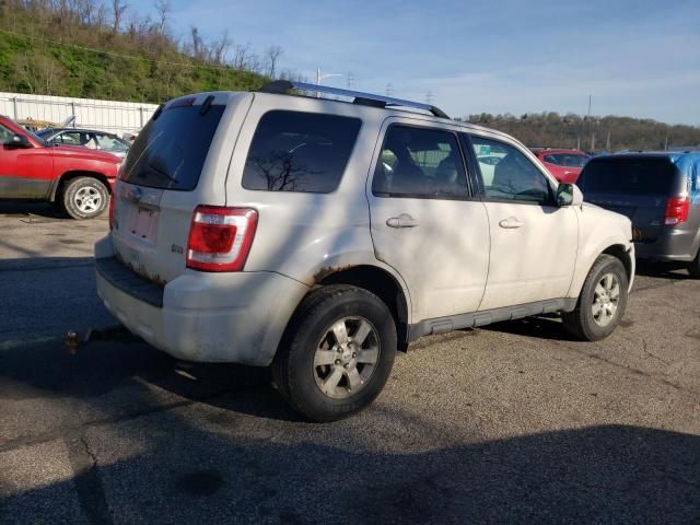 2011 Ford Escape Limited