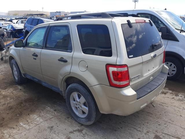 2011 Ford Escape XLT