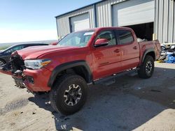 Salvage cars for sale at Albuquerque, NM auction: 2017 Toyota Tacoma Double Cab