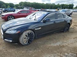 Carros dañados por inundaciones a la venta en subasta: 2016 Jaguar XF Prestige