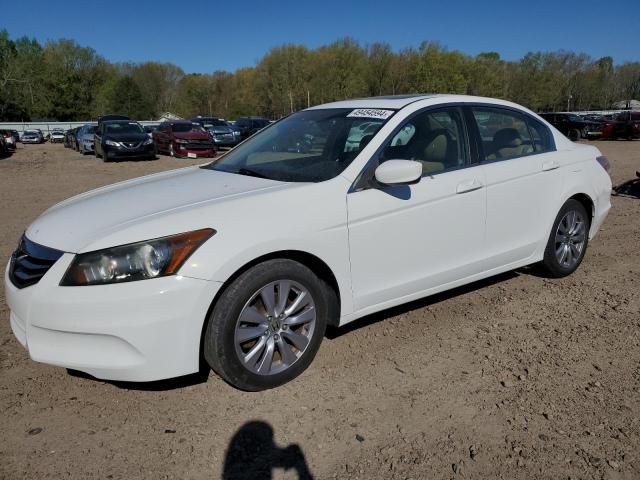 2011 Honda Accord EXL