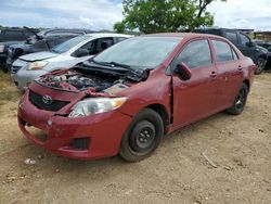 Salvage cars for sale from Copart Kapolei, HI: 2010 Toyota Corolla Base