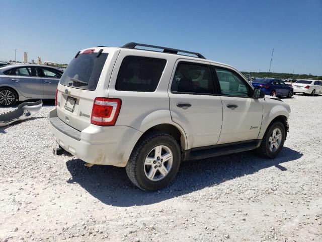 2011 Ford Escape Hybrid