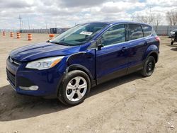 2015 Ford Escape SE for sale in Greenwood, NE