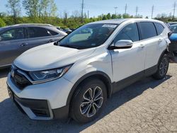 Salvage cars for sale at Bridgeton, MO auction: 2020 Honda CR-V EX