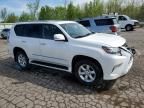 2019 Lexus GX 460