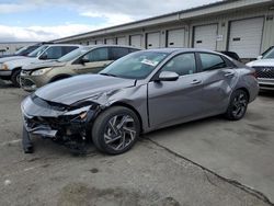 Salvage cars for sale at Louisville, KY auction: 2024 Hyundai Elantra SEL