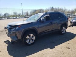 Salvage cars for sale from Copart Chalfont, PA: 2021 Toyota Rav4 XLE