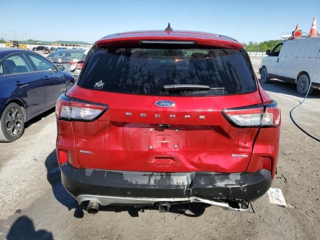 2022 Ford Escape SEL