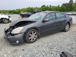 Salvage cars for sale at Mebane, NC auction: 2006 Nissan Maxima SE