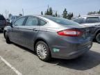 2013 Ford Fusion SE Phev