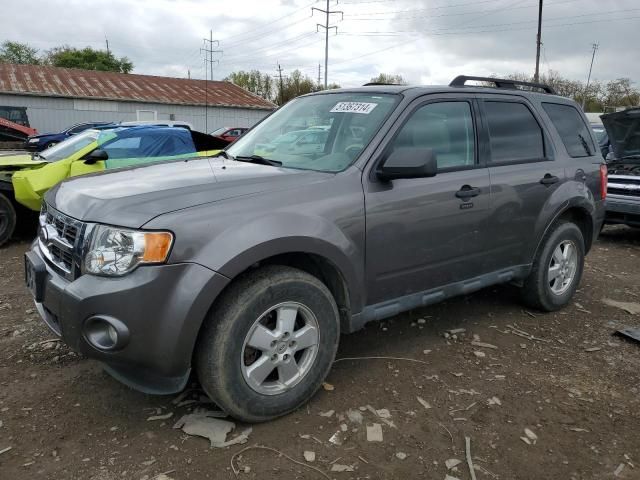 2012 Ford Escape XLT