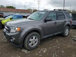 Salvage cars for sale from Copart Columbus, OH: 2012 Ford Escape XLT